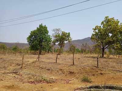 Kalahandi University gets land for permanent campus