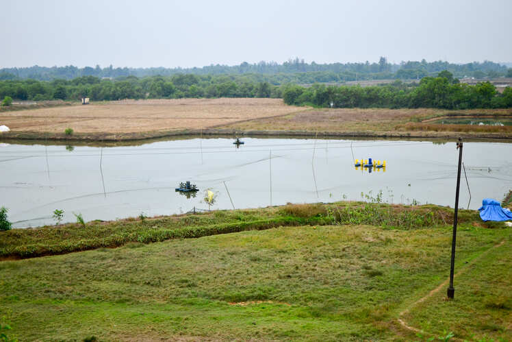 Exploring Mattur