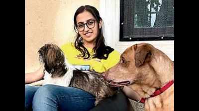Pune: Pet dogs find shelter in homestays as volunteers step up in pandemic
