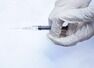 “Steroids may suppress body’s immunity”