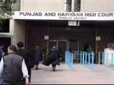 Punjab and Haryana high court rejects Jind live-in couple’s plea, cites threat to ‘social fabric’
