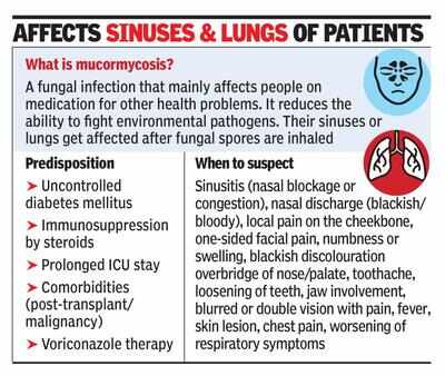 What S Black Fungus Queries Flood Hosps Noida News Times Of India