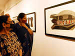 Government marks 'Rajasthan Day' with two exhibitions