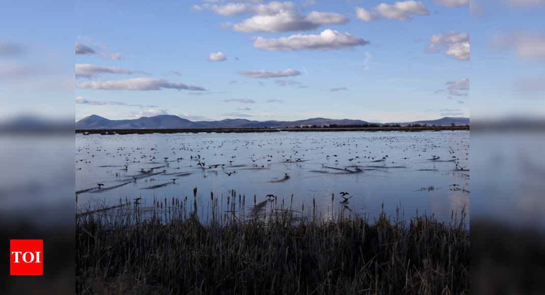 Water crisis 'couldn't be worse' on Oregon-California border