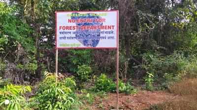 Mhadei sanctuary plundered of wealth, forest officials claim they are helpless