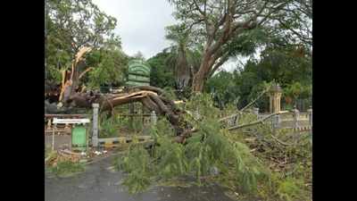 Cyclone Tauktae: Heavy rains claim 4 lives in Karnataka