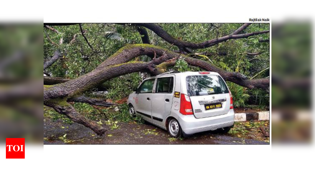 Cyclone Tauktae wreaks havoc in Goa, two dead, over 200 houses damaged