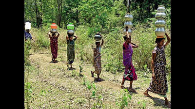 Kerala: Covid grips Wayanad tribal hamlets