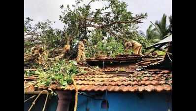 Bicholim bears the brunt of Tauktae as fire services struggle to clear trees