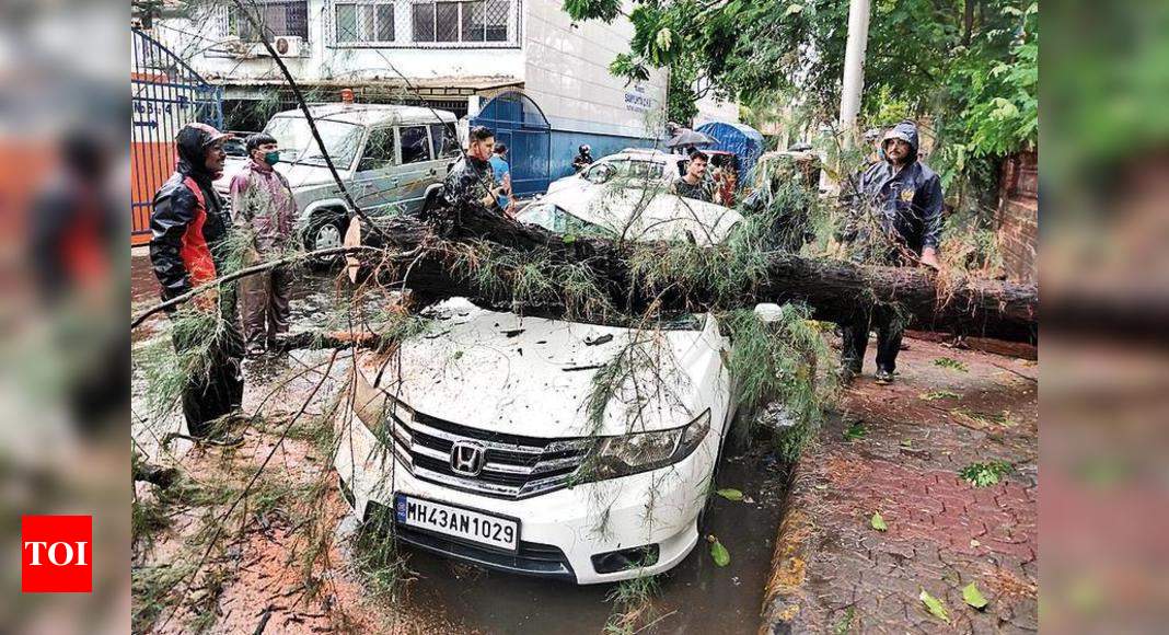 Cyclone hits green cover, 604 trees fall in MMR