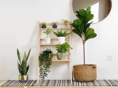 Plant stands that will upgrade your at-home garden