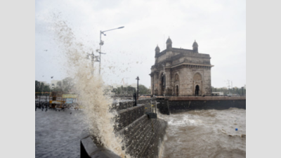 Maharashtra: Cyclone kills five in Thane and Palghar districts