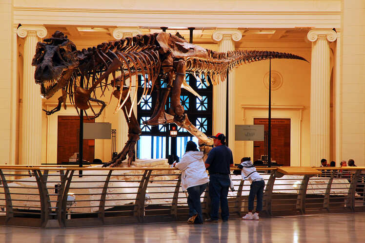 Natural History Museum