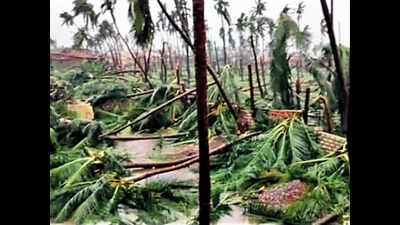 Cyclone Tauktae flattens nearly 90% standing crop in Gujarat's Saurashtra