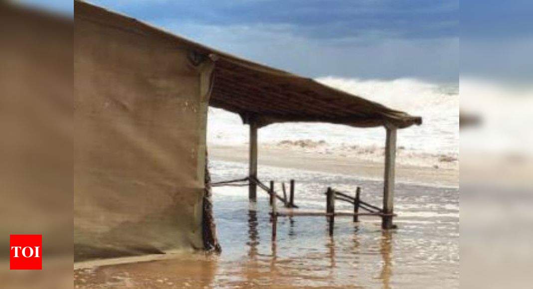 Goa: Cyclone abruptly ends turtle nesting season at Canacona