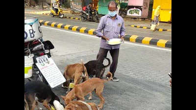 Nagpur: This astrologer is making sure strays have a yummy future
