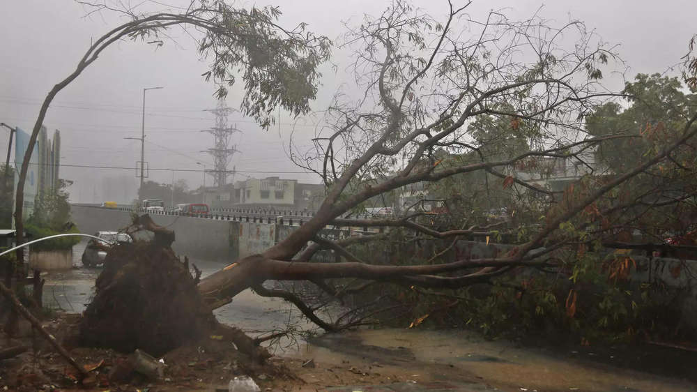 Photos: Cyclone Tauktae Leaves Trail Of Destruction In Gujarat ...