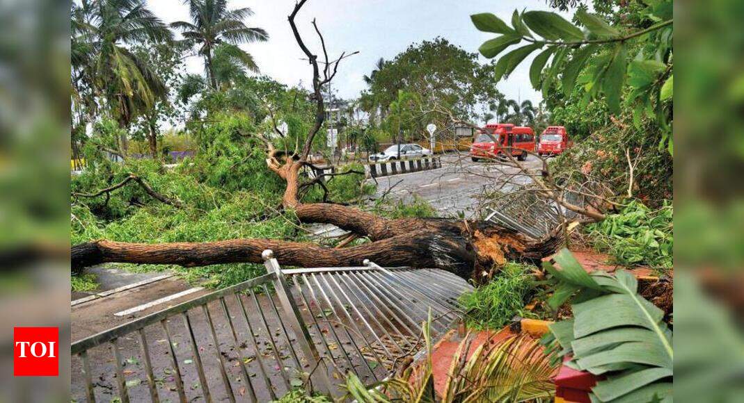 Maharashtra: Cyclone Tauktae wreaks havoc in Raigad | Mumbai News ...