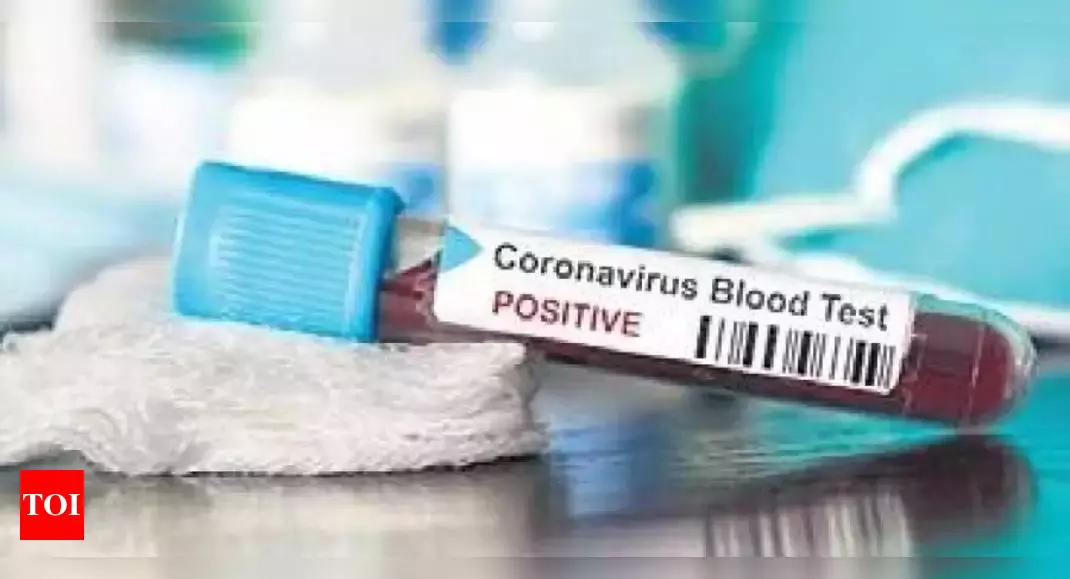 TN: 365 deaths, 34,875 new Covid cases in 24 hrs