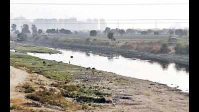 STPs no longer polluting Hindon river: UPPCB