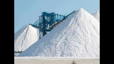 Gujarat: Rs 200 crore losses for salt manufacturers