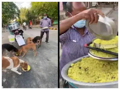 Watch: This Nagpur man feeds 150 dogs Chicken and Mutton Biryani daily