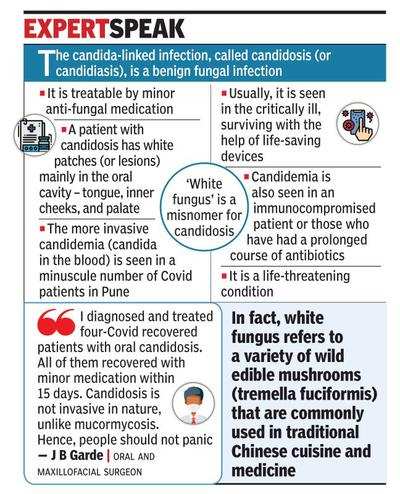 ‘Don’t call candida-linked infections white fungus’