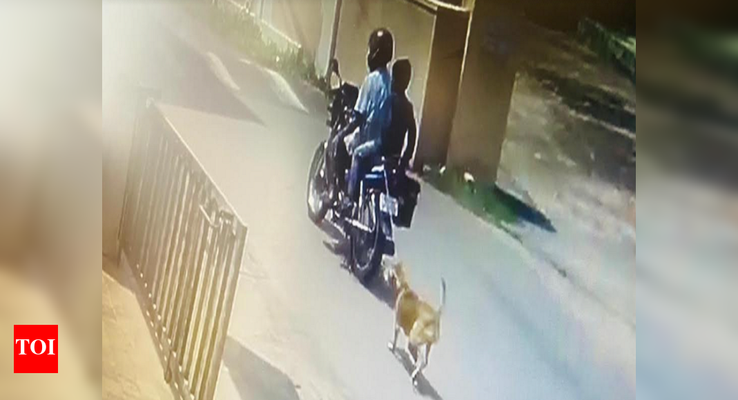 Mangaluru: Dog tied to bike and dragged on road for biting slippers ...