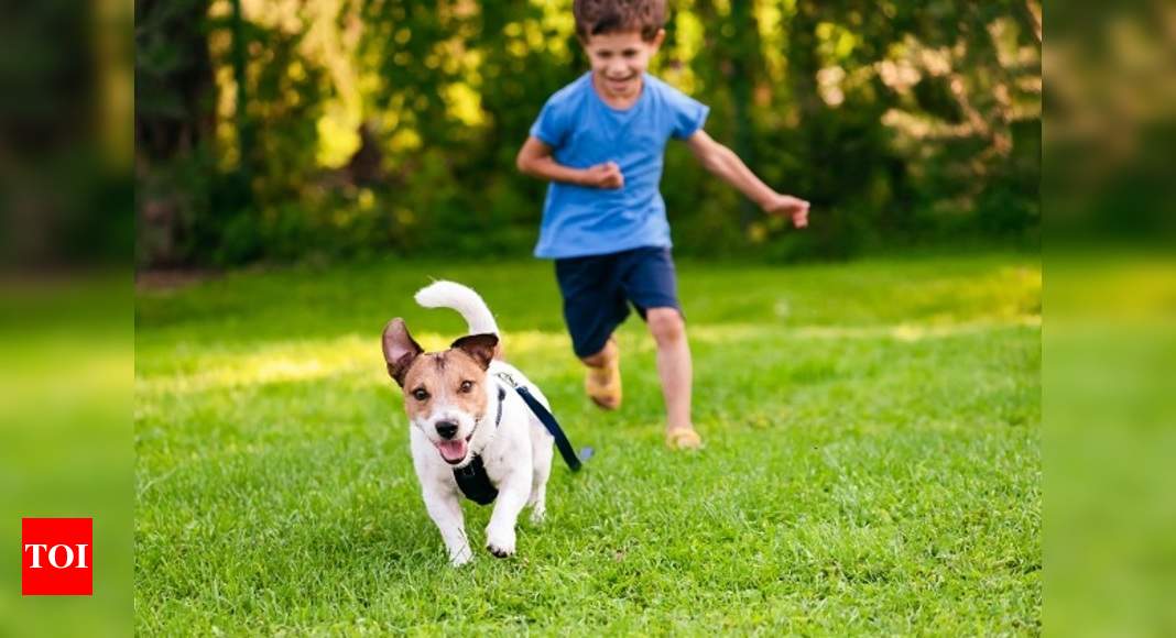 How Adopted Canines Are Helping City Kids Beat The Pandemic Blues ...