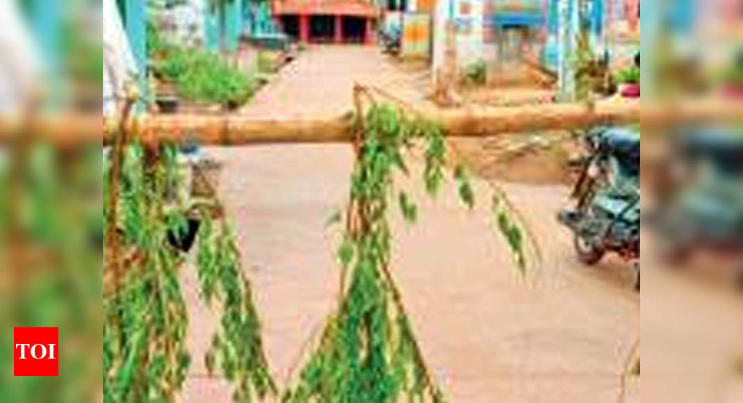 Villages near Madurai fenced with neem leaves