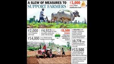 Andhra Pradesh government spent Rs 85,000 crore on agriculture in last two years
