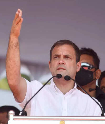 Toolkit issue: Rahul Gandhi says 'truth remains unafraid'