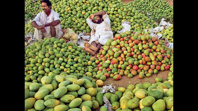 Bihar: Bhagalpur mango farmers stare at poor sales, losses