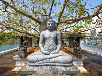 Buddha Purnima: Wishes, Messages and Quotes