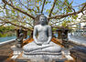 Buddha Purnima: Wishes, Messages and Quotes