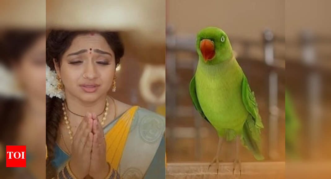 Trinayani preview: Raja comes to Nayani's rescue - Times of India
