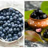 Blueberries v/s Kala Jamun: Which one should you have? | The Times ...