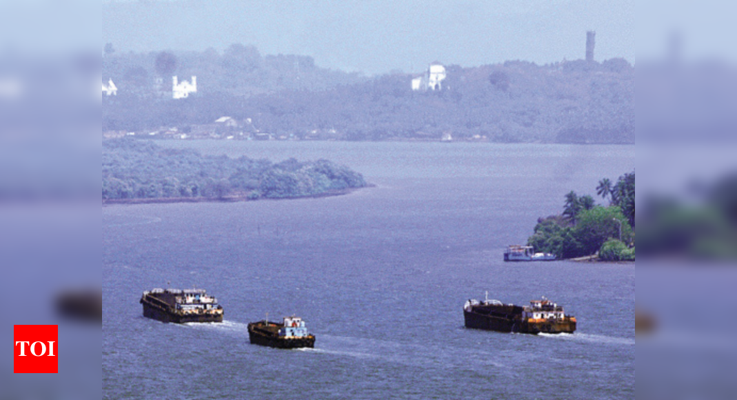 Lockdown improved water quality in Mandovi: NIO