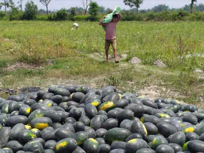 Assam: Farm products can now be sold directly to housing complexes