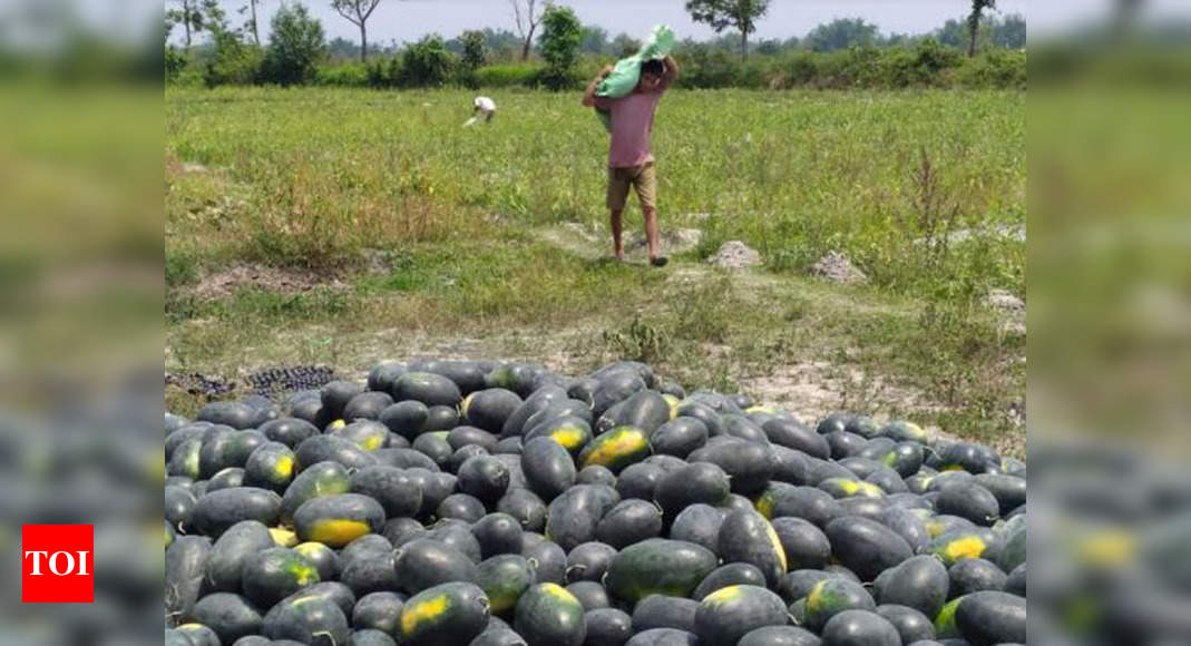 Assam: Farm products can now be sold directly to housing complexes ...