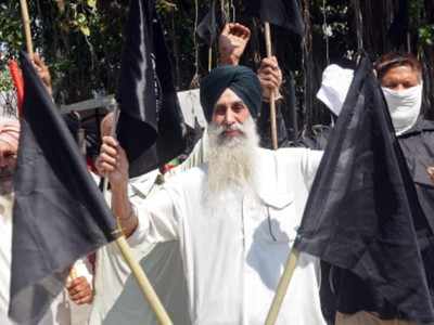 Farmers in Punjab, Haryana hoist black flags to protest farm laws