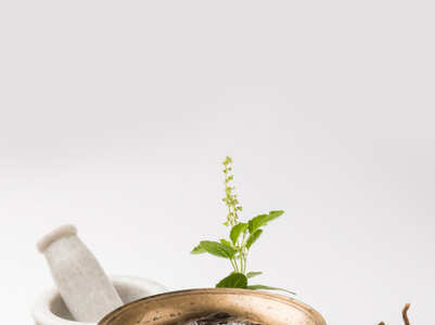 Herbs and spices that are BEST for the skin