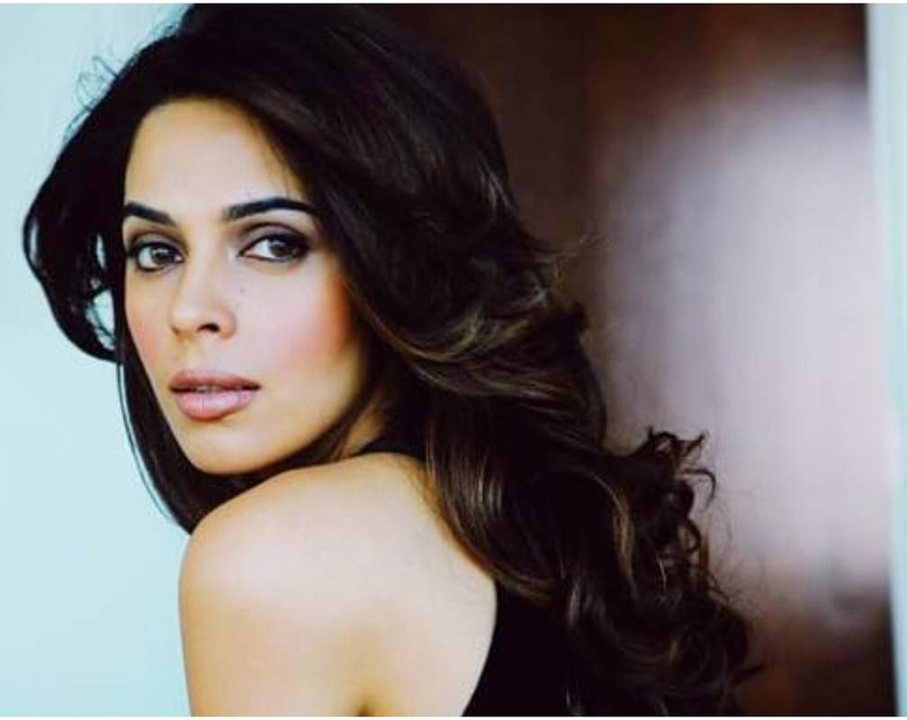 
Why Mallika Sherawat was happy to be a part of Rajat Kapoor's RK/RKAY
