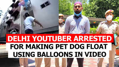 Delhi YouTuber arrested for making pet dog float using balloons in video
