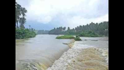 Cyclone Yaas: Over 1,600 acres of banana plantations damaged in rain in Kanyakumari