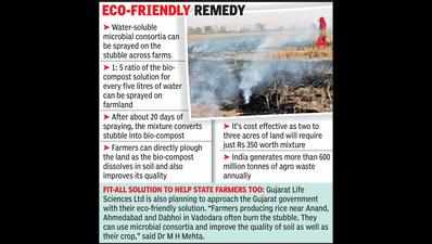 Gujarat’s green solution to tackle smoke pollution