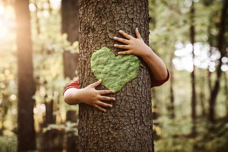 The idea behind &lsquo;Chipko Movement&rsquo;