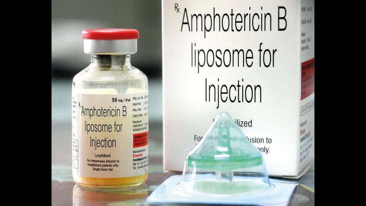 IIT Hyderabad develops oral amphotericin B to treat black fungus | Mumbai  News - Times of India