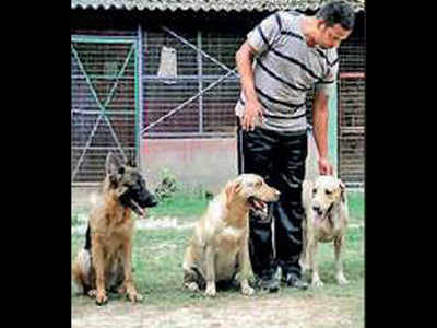 Kolkata: Covid forces change in cop dog training regimen