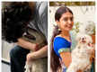 
Tollywood actors spend time with their adorable furry friends in lockdown
